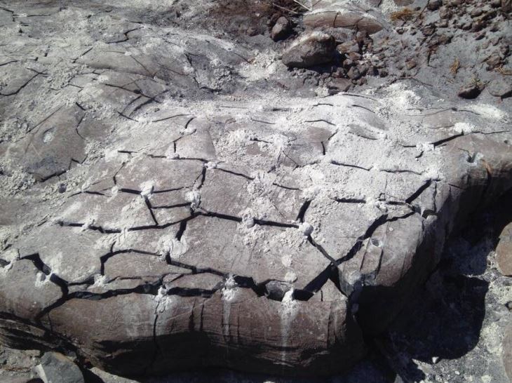 Bergspräckning Snigeldynamit